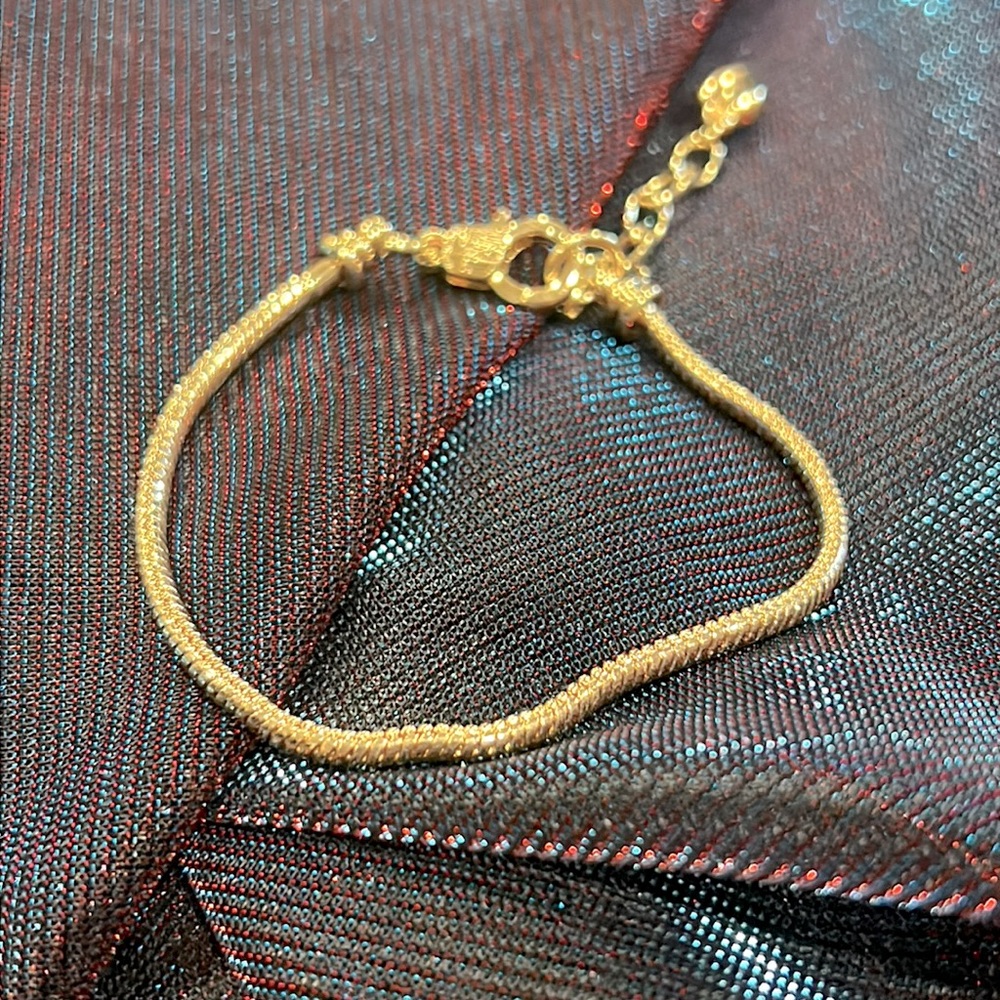 New Gold Charm Bracelet with Twist Off Clasp